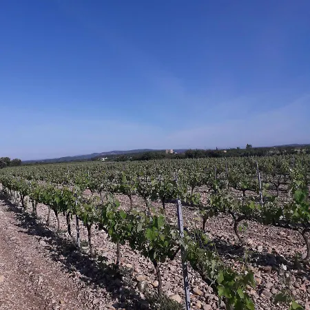 Vents D'anges Bed & Breakfast 4*